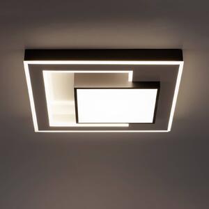 Paul Neuhaus Q-Alta LED stropní světlo, 55x55cm