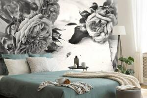 Tapeta růže v rozkvětu černobílé - 450x300 cm