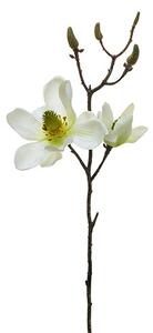 Krémová magnolie SIA 42cm
