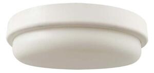 LED Koupelnové stropní svítidlo LED/12W/230V 4000K IP54 pr. 15 cm