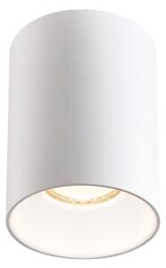 Brilagi - Bodové svítidlo TRINE 1xGU10/30W/230V bílá