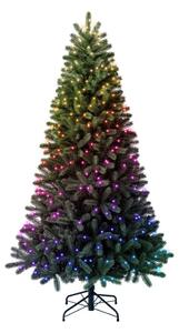 Twinkly TG70P4425P01 - LED RGBW Vánoční stromek TREE 435xLED 2,1 m Wi-Fi