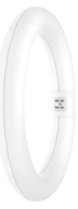 LED Zářivková trubice SUBSTITUBE T9 G10q/12W/230V 4000K pr. 21,2 cm - Osram