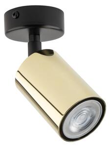Bodové svítidlo ZOOM 1xGU10/10W/230V zlatá/černá