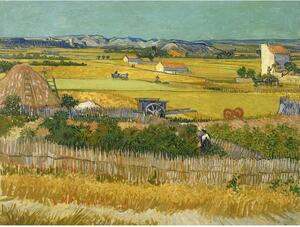 Obraz - reprodukce 40x30 cm The Harvest, Vincent van Gogh – Fedkolor
