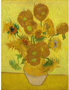 Obraz - reprodukce 50x70 cm Sunflowers, Vincent van Gogh – Fedkolor