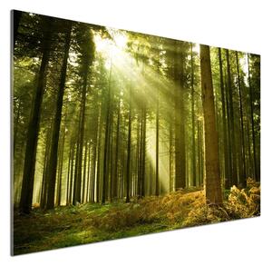 Dekorační panel sklo Sosnový les pksh-10017097