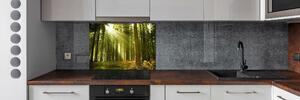 Dekorační panel sklo Sosnový les pksh-10017097