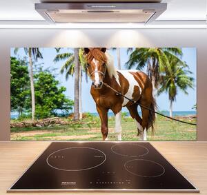 Dekorační panel sklo Strakatý kůň pksh-100317732