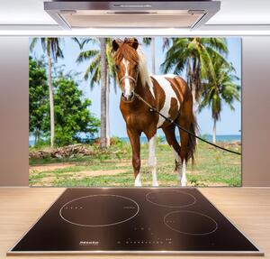 Dekorační panel sklo Strakatý kůň pksh-100317732