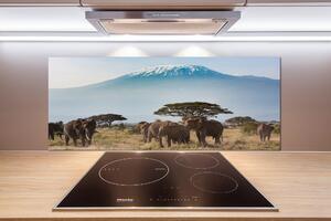Panel lacobel Sloni Kilimandžaro pksh-100418826
