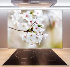 Dekorační panel sklo Květy višně pksh-100965392