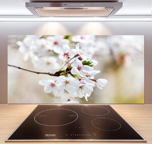 Dekorační panel sklo Květy višně pksh-100965392