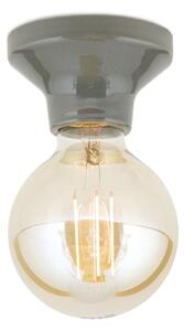 Orion - Stropní svítidlo FROST 1xE27/60W/230V šedá