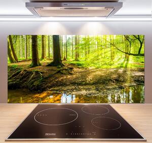 Panel do kuchyně Sluneční paprsky les pksh-101332192