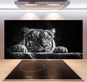 Skleněný panel do kuchyně Tygr pksh-101258480