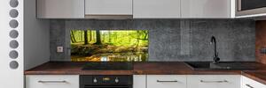 Panel do kuchyně Sluneční paprsky les pksh-101332192