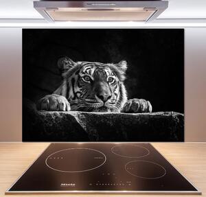 Skleněný panel do kuchyně Tygr pksh-101258480