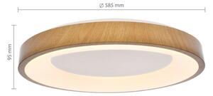 Brilagi - LED Stmívatel. svítidlo DORIA LED/60W/230V 3000-6500K pr. 60 cm + DO