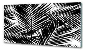 Dekorační panel sklo Listí palmy pksh-101389703