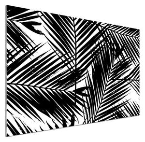 Dekorační panel sklo Listí palmy pksh-101389703