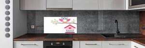 Panel do kuchyně Sova na větvi pksh-101473258