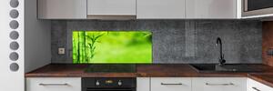 Skleněný panel do kuchyně Bambus pksh-101574587