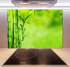 Skleněný panel do kuchyně Bambus pksh-101574587
