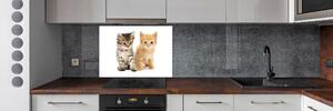 Panel do kuchyně Hnědá a červená kočka pksh-101681955