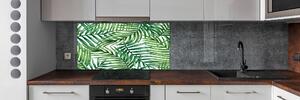 Dekorační panel sklo Listí palmy pksh-101795762