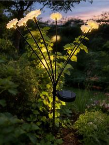 Sinsay - Solární LED lampa ve tvaru květu - bílá