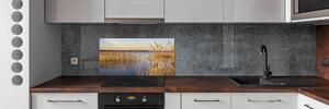 Panel do kuchyně Vodní třtina pksh-102091943