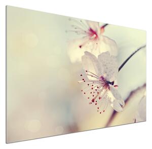 Dekorační panel sklo Květ višně pksh-102906126