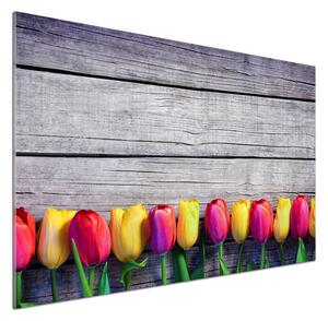 Panel lacobel Tulipány na stromě pksh-103218042