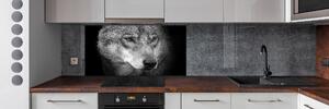 Skleněný panel do kuchyně Vlk pksh-103311727