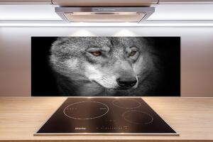 Skleněný panel do kuchyně Vlk pksh-103311727