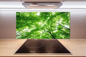 Dekorační panel sklo Zelený les pksh-103615746