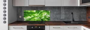 Dekorační panel sklo Zelený les pksh-103615746