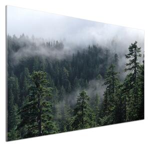 Dekorační panel sklo Lesní mlha pksh-103817714