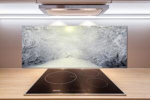 Panel do kuchyně Hezký zimní les pksh-103882841