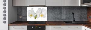 Skleněný panel do kuchynské linky Orchidej pksh-103920801