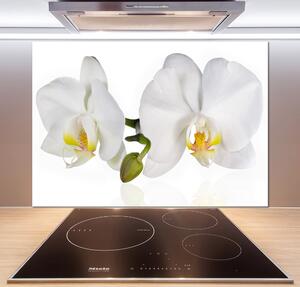 Skleněný panel do kuchynské linky Orchidej pksh-103920801