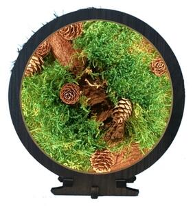 Li-Go 23654 - LED Stmívatelná stolní dekorace LED/12W/230V 20x22 cm mech