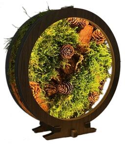 Li-Go 23654 - LED Stmívatelná stolní dekorace LED/12W/230V 20x22 cm mech