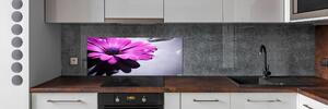 Skleněný panel do kuchyně Gerbera pksh-104053300