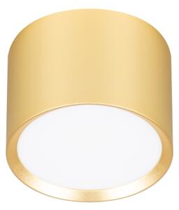 Brilagi - LED Bodové svítidlo SMOOTH 1xGX53/15W/230V zlatá