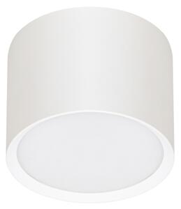 Brilagi - LED Bodové svítidlo SMOOTH 1xGX53/15W/230V bílá