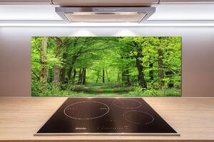 Dekorační panel sklo Jarní les pksh-104709227