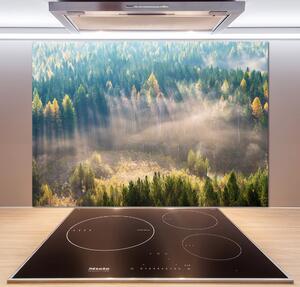 Dekorační panel sklo Mlha v lese pksh-104886541