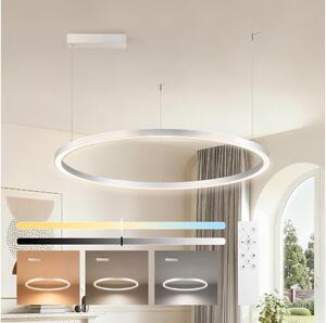 Brilagi-LED Stmívat. lustr na lanku PORTOFINO LED/60W/230V pr. 80 cm stříbrná+DO